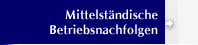 Mittelst�ndische Betriebsnachfolgen