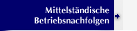 Mittelst�ndische Betriebsnachfolgen